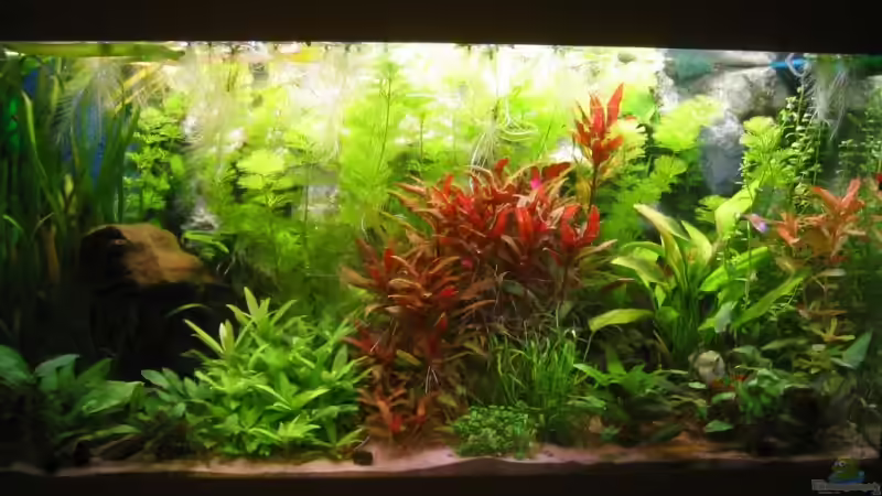 3 Wochen :o) von MikBa (2)