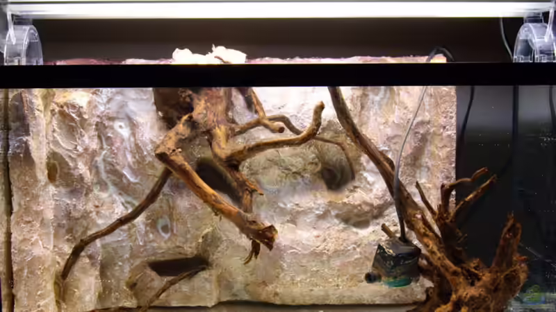 3 Wochen gewässert von Olli Bartels (8)