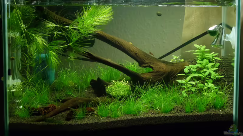 3 Wochen später von Konzi (6)