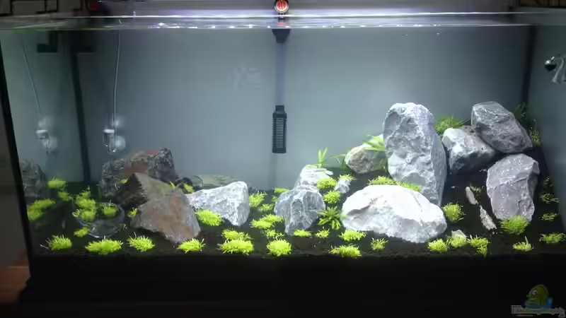 3 Wochen von Frederic Schimmeck (1)