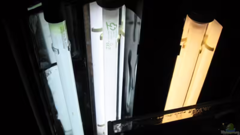 3 x 15W von Gerd Zimmermann (10)