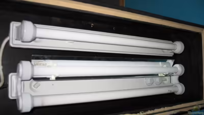 3 x 18 Watt t8 von Janine-R. (6)