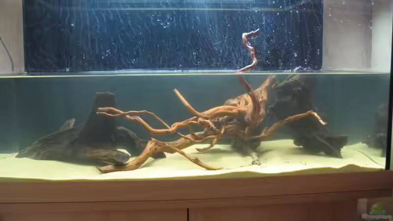 30. Dezember 2006 von Marc Große-Allermann (2)