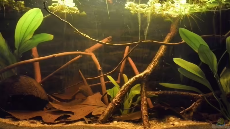 30. November 2014 von Patrick Scheffer (1)