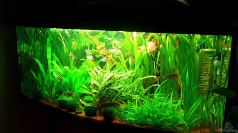 30.01.10 nach Tww von ~Marco~ (14)