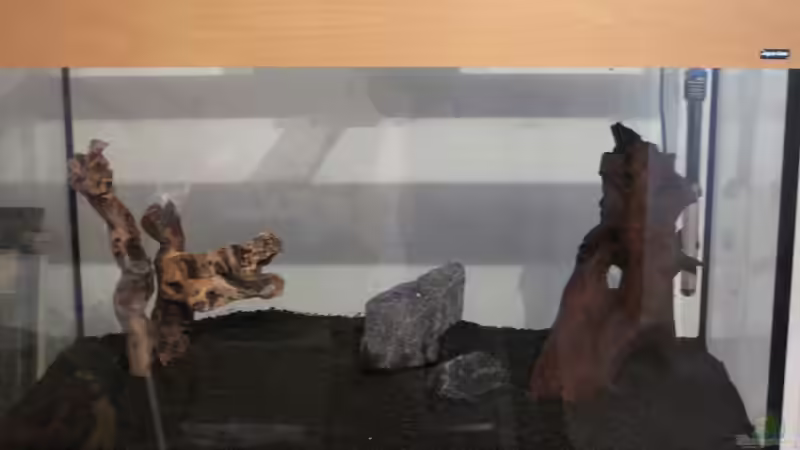 30.01.13 von Tanja (2)