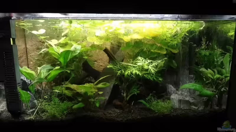 30.01.15 von Große-Blubbel-Kleine-Blubbel (6)