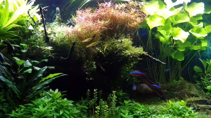 30.01.17 von Der Nicky (38)