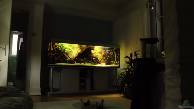 30.01.2011 von Laura (15)