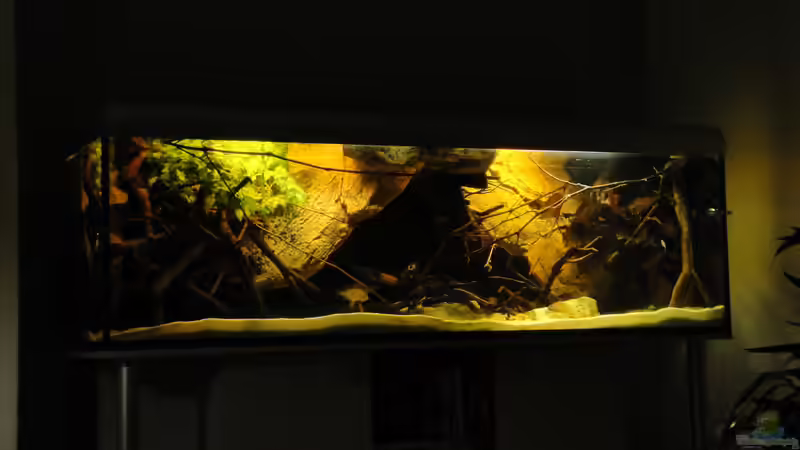 30.01.2011 von Laura (17)