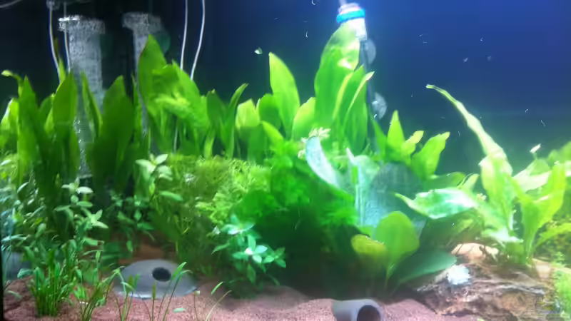 30.01.2013 - Ansicht links von Sascha T. (10)