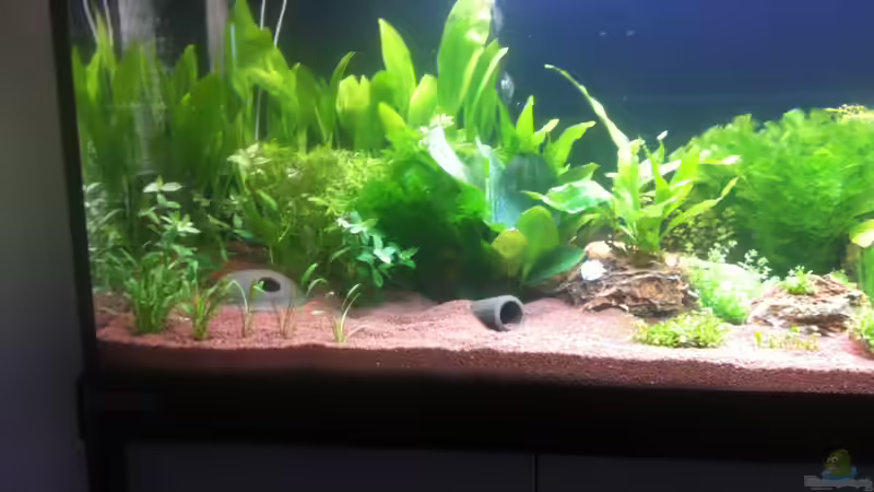 30.01.2013 - Ansicht links von Sascha T. (9)