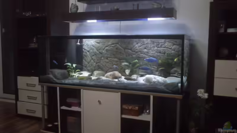 30.01.2013 von Noah (5)