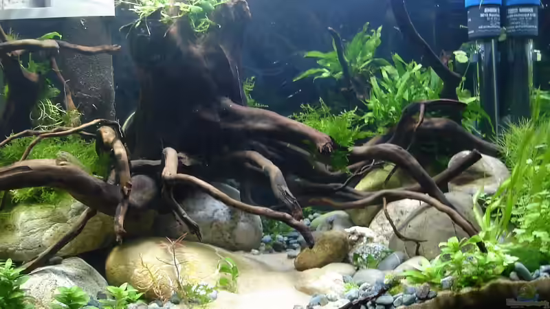 30.01.2015 von Grünhexe (3)