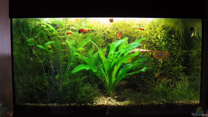 30.03.2010 von Marlone (1)