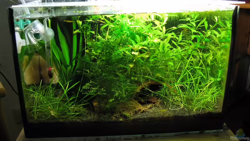 30.03.2010 von Marlone (1)