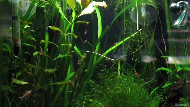 30.03.2010 von Marlone (5)