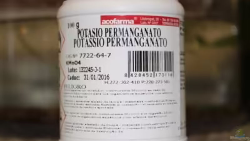 30/03/2014 Desinfeccio de pedres volcaniques.  von lomarraco (47)