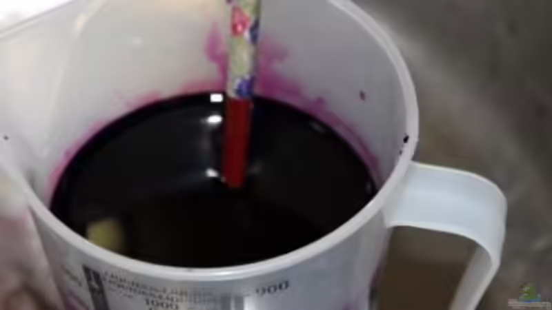 30/03/2014 Desinfeccio de pedres volcaniques. Concentrat de permanganat potàsic von lomarraco (48)