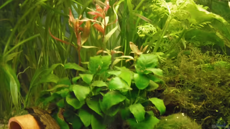 30.04. von schwefelfell (5)