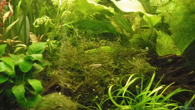 30.04. von schwefelfell (6)