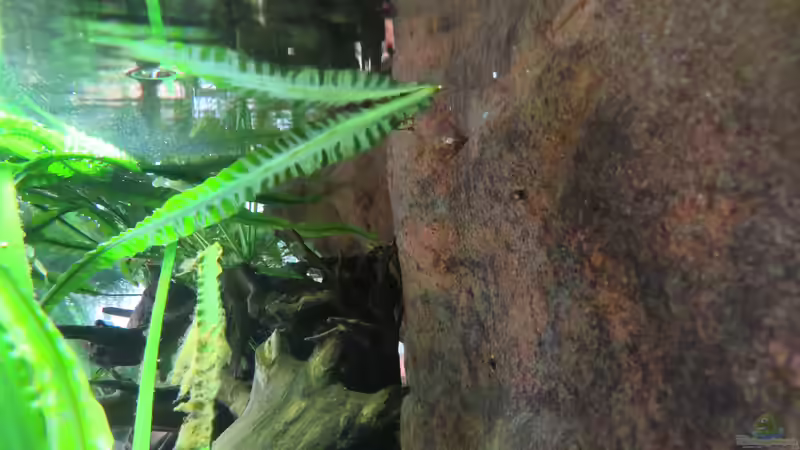 30.04.2018 Blick von Rechts von db (12)