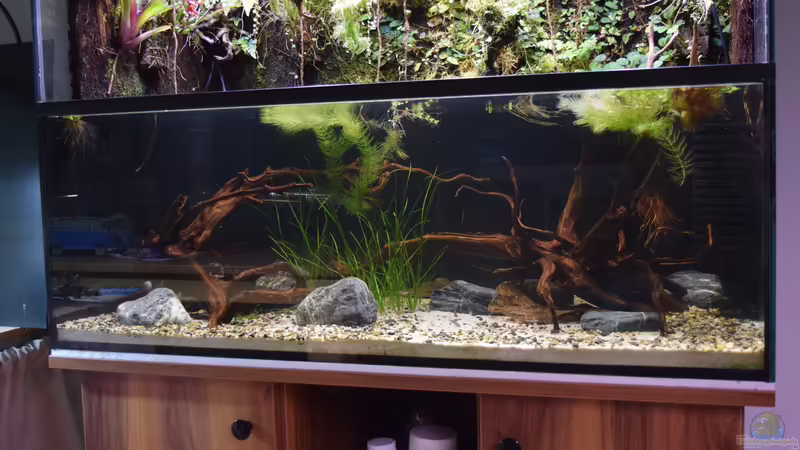 30.04.2018 von Junglist (5)