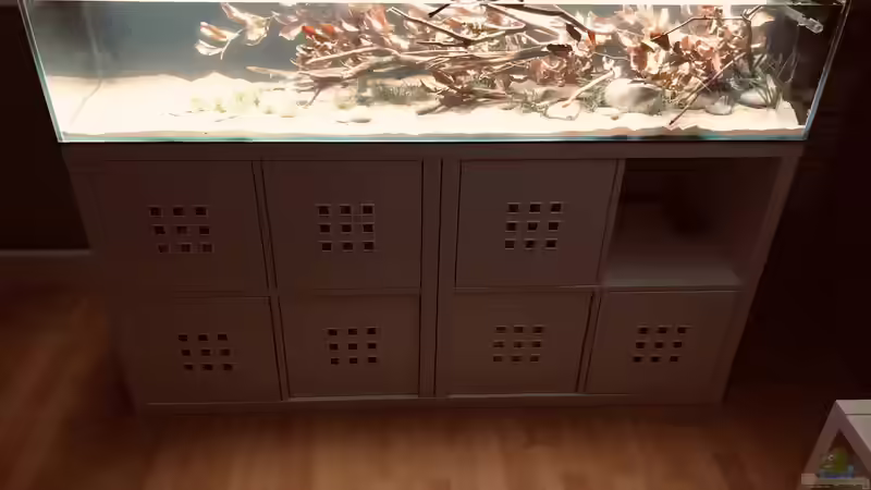 30.04.2020 Cory-Kallax-Aquarium von DiskusMummy (11)