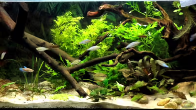 30.05.2010 von Laura (10)