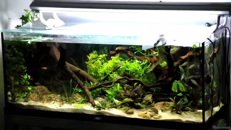 30.05.2010 von Laura (9)