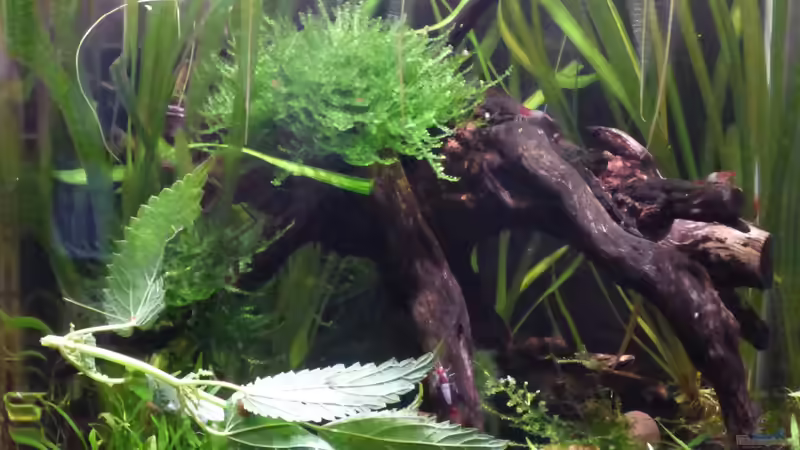 30.06.18 von Stephy (4)