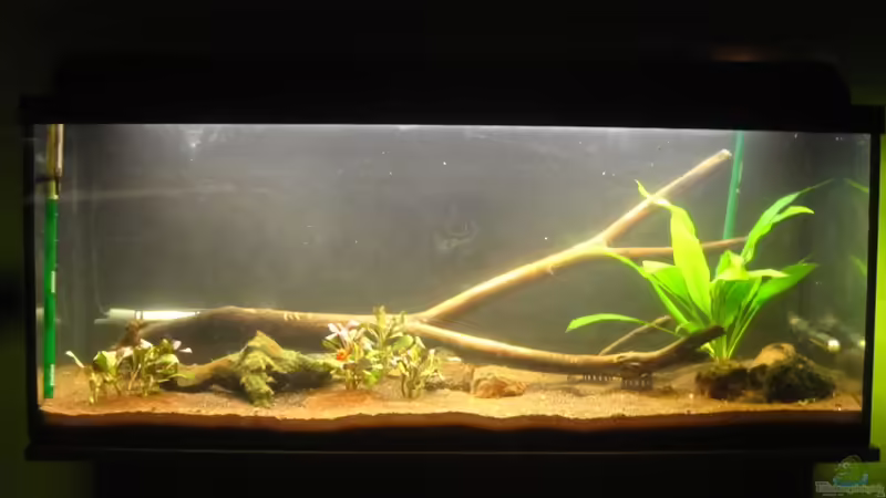 30.06.2012 von Lisa K. (2)