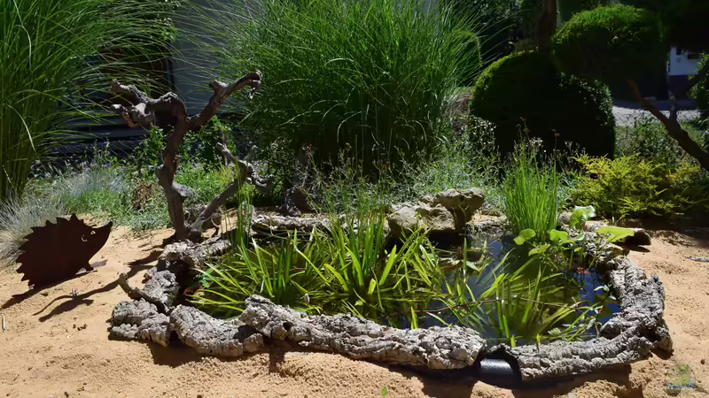 30.06.2019 von Junglist (1)