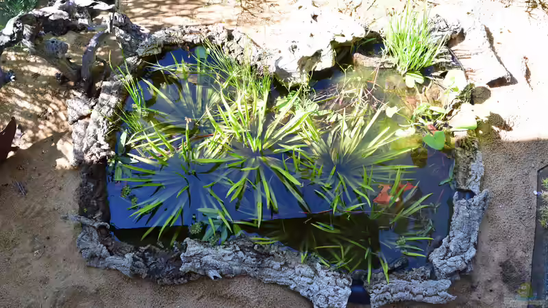 30.06.2019 von Junglist (3)