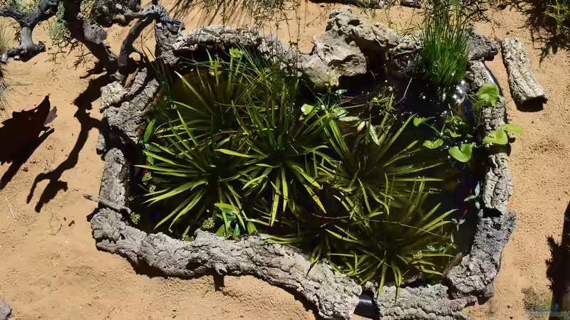 30.06.2019 von Junglist (4)