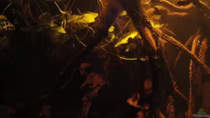 30.07.12 von Laura (16)