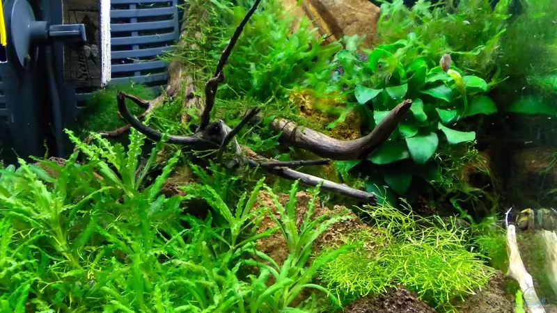 30.07.2012 von Koehler (10)