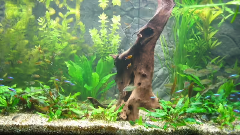 30.08.11 von Thorbenhendrik (2)