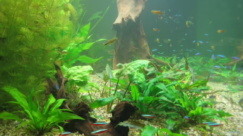 30.08.11 von Thorbenhendrik (5)