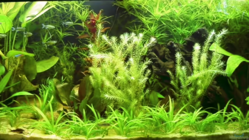 30.08.2010 von Susanne Kruse (3)