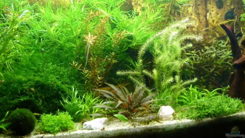 30.08.2010 von Susanne Kruse (6)