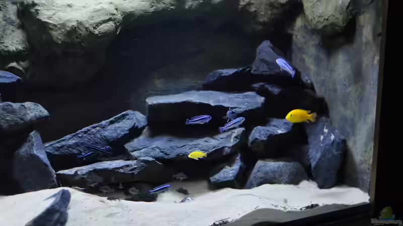 30.09.2014 von DominikZ (20)