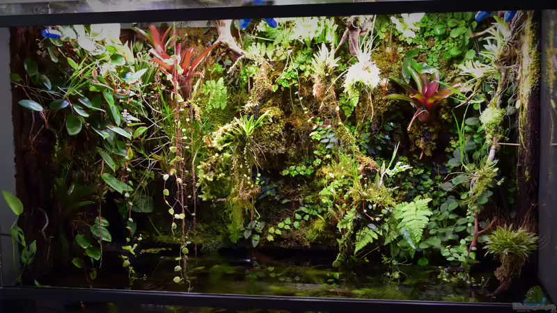 30.09.2018 von Junglist (8)