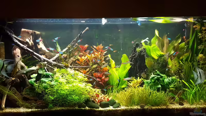 30.09.2018 von Mel (6)