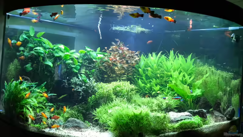 30.10.20 von Rob Rüh (2)