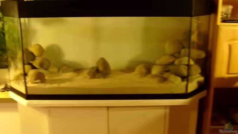 30.10.2009 von Kleene69 (3)