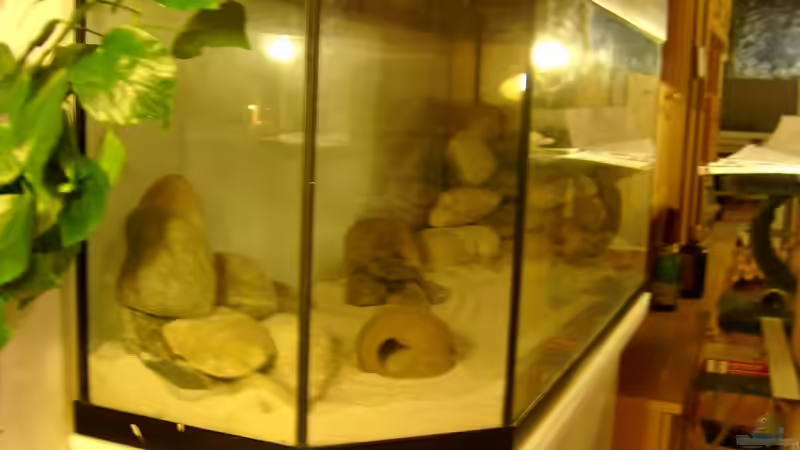 30.10.2009 von Kleene69 (4)