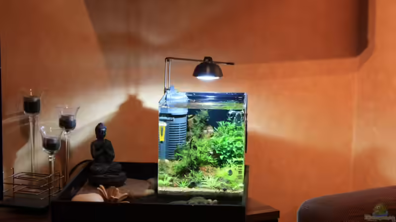 30.10.2012 von Koehler (1)