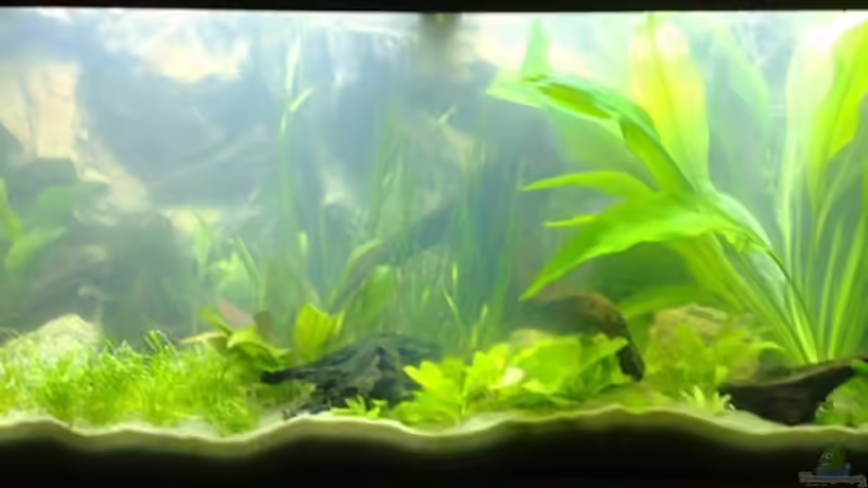 30.11.07 von Thomas Oetjen (3)