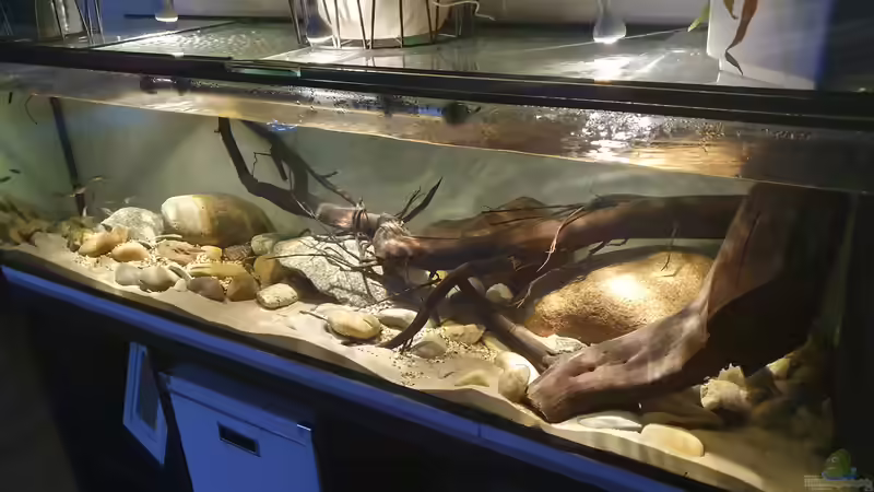 30.11.19 von Aqua fan (6)